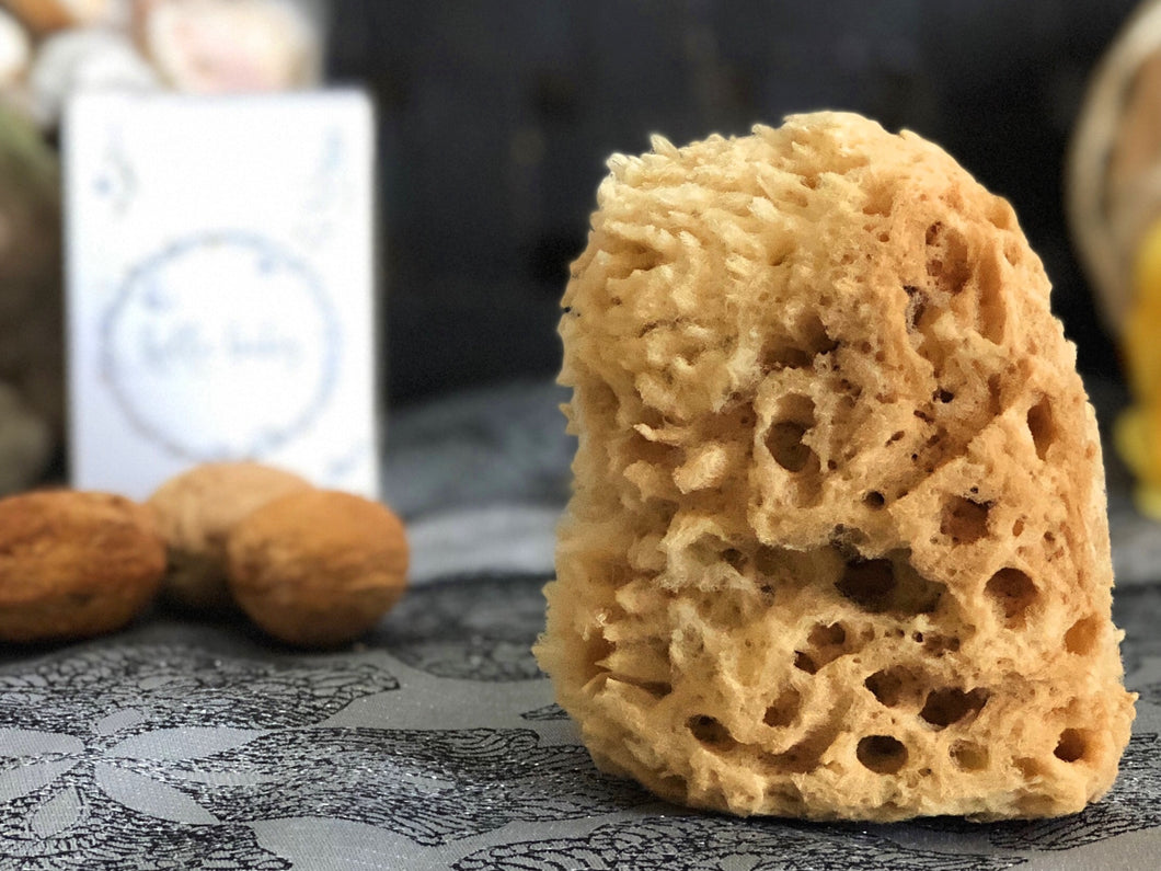 organic raw mediterranean wool sea sponge soft absorbent gentle face newborn toddler baby exfoliate